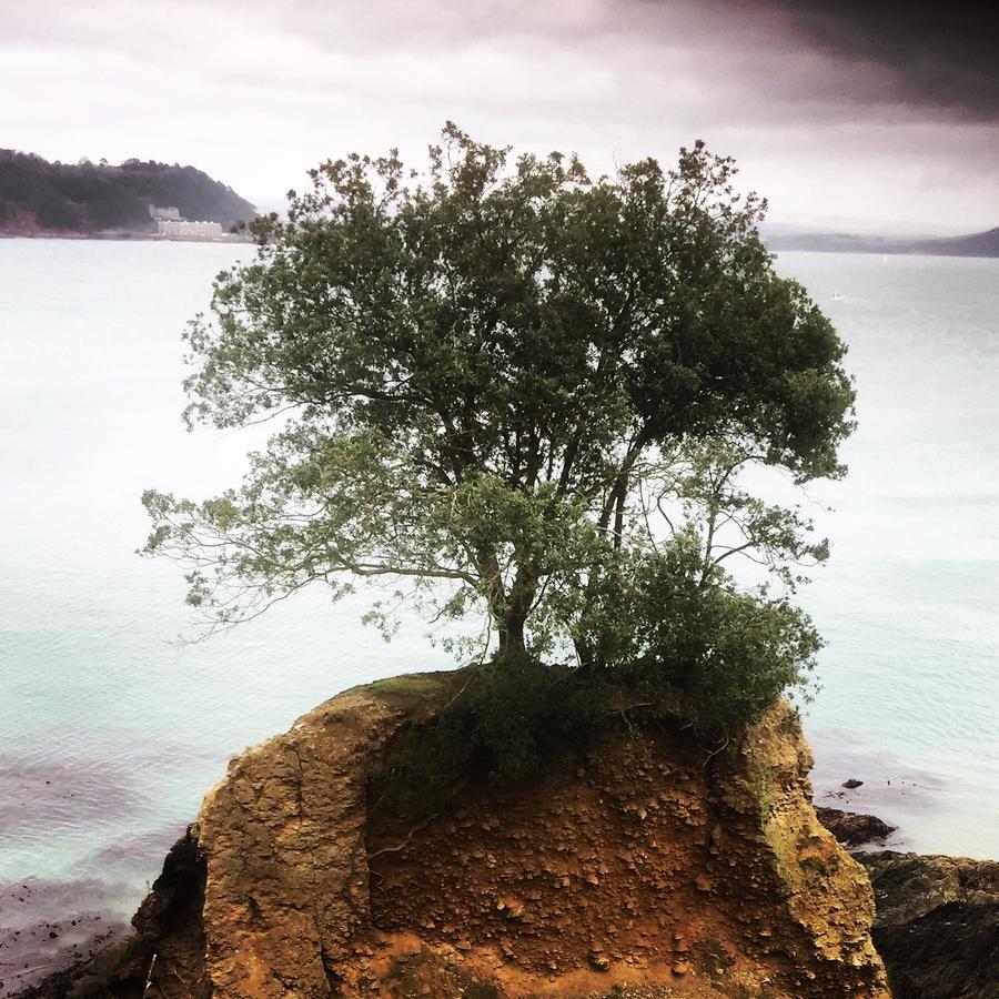 Westcroft Guesthouse Boutique B & B Cawsand Eksteriør bilde